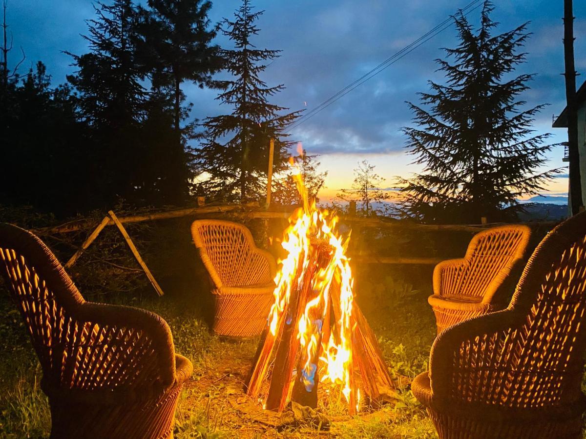 Aachman Nature Valley Resort Shimla Esterno foto